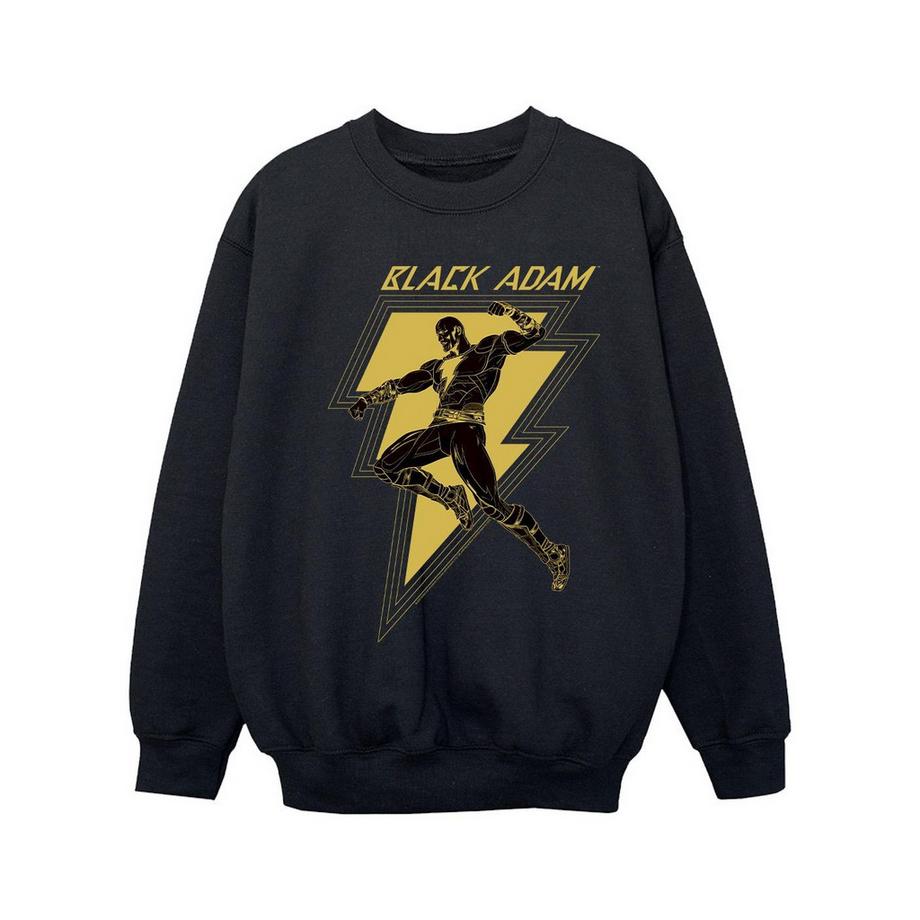 DC COMICS  Sweatshirt 