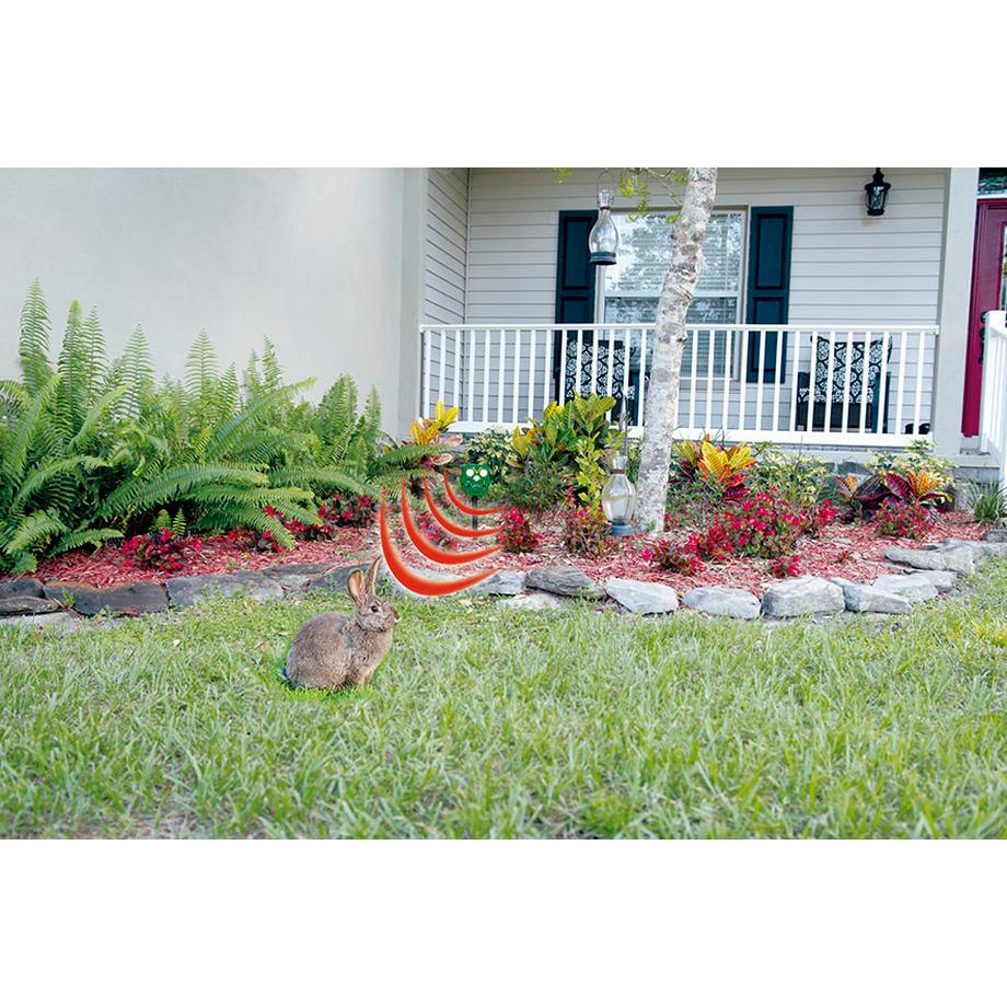 STARLYF OWL GUARD Répulsif pour animaux avec détecteur de mouvement  