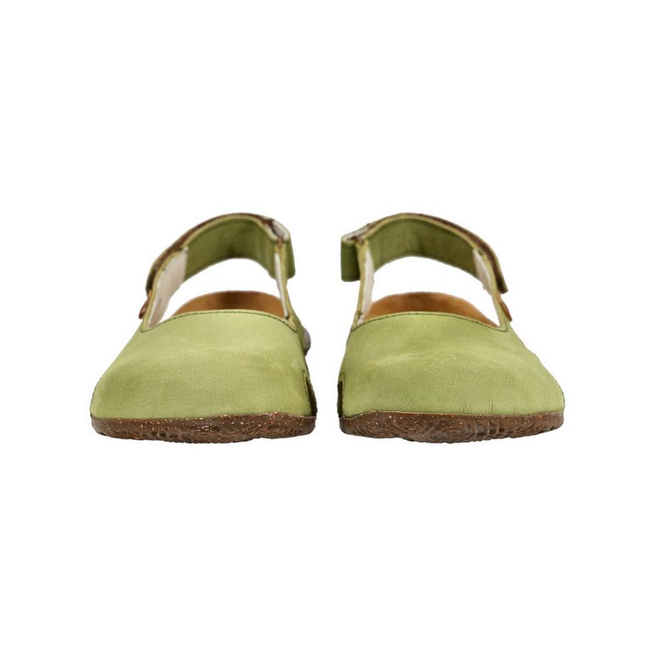 El Naturalista Ballerine  