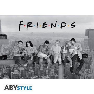 Poster - Gerollt und mit Folie versehen - Friends - Hoch über New York thronen