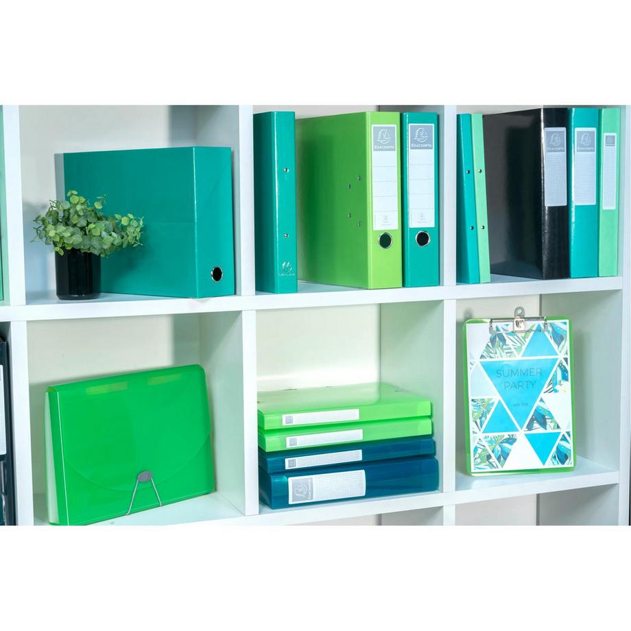 Exacompta Classeur A4 4 anneaux 30mm Iderama - x 10  