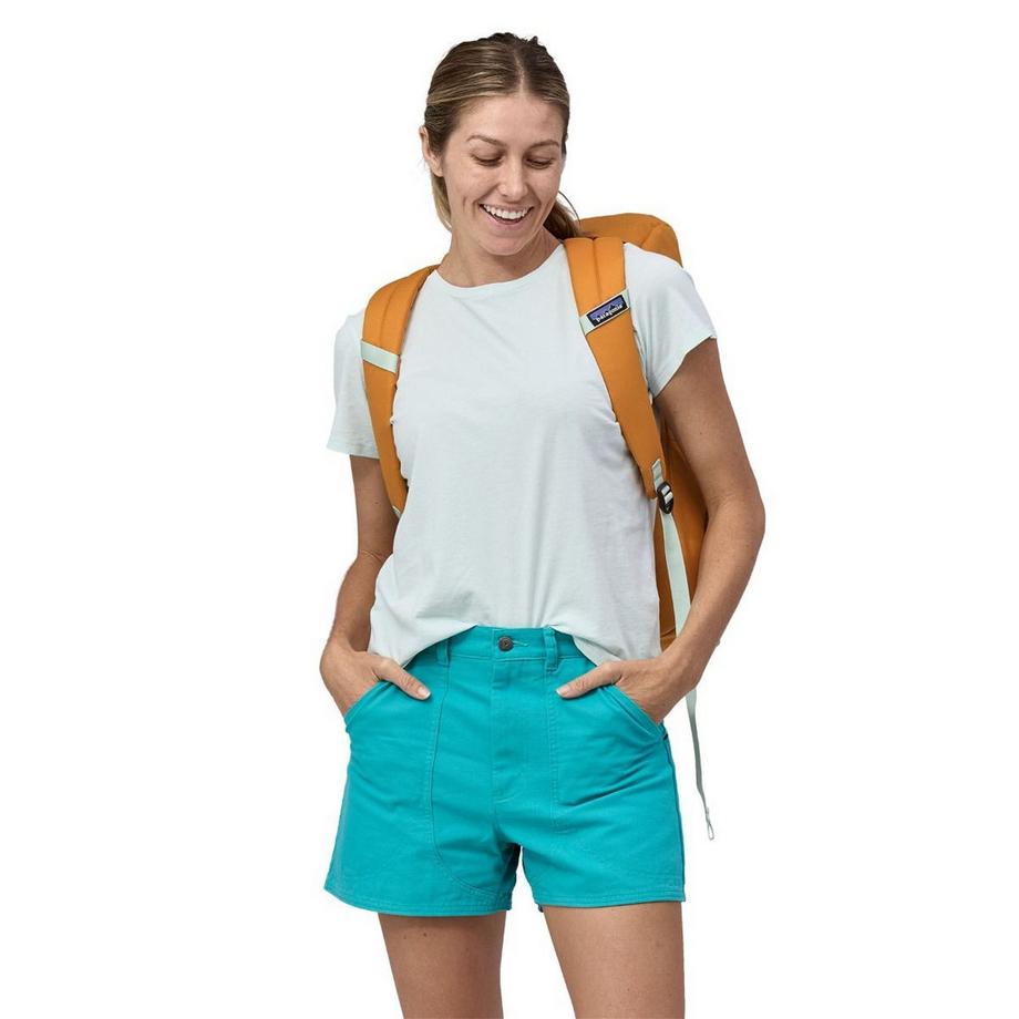 Patagonia Fieldsmith Roll Top Pack  