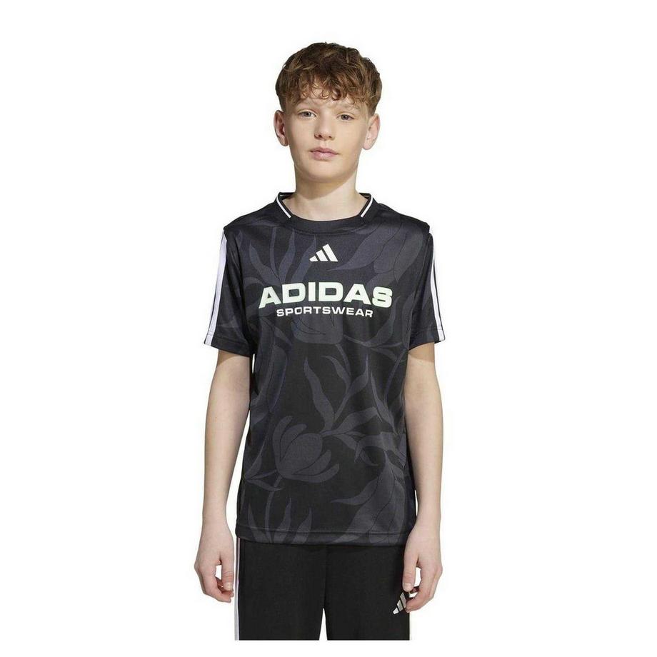 adidas  T-ShirtHouse Of Tiro 