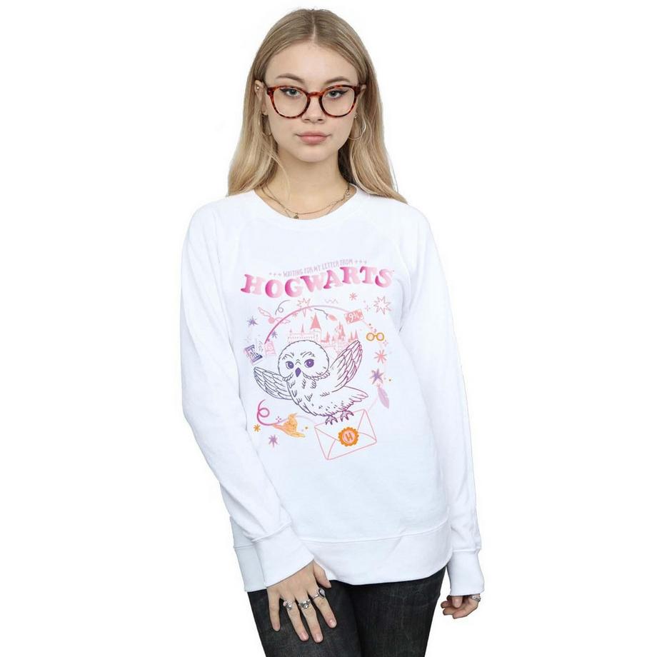 HARRY-POTTER Hogwarts Hibou Graphique Sweatshirt  