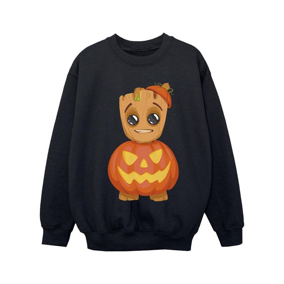 Sweat motifs Groot et citrouille