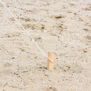 Pricenet  Piquet de tente 30cm bois 4 pièces en poly-sac 