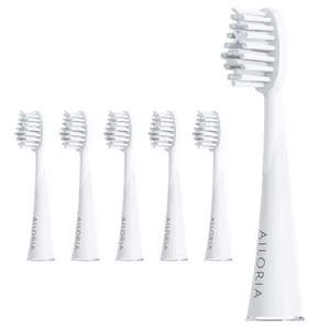 SHINE BRIGHT Set di 6 testine di ricambio per spazzole Extra Clean