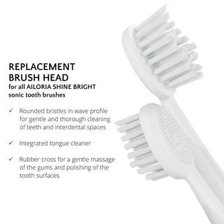AILORIA SHINE BRIGHT Têtes de brosse Extra Clean - lot de 6  