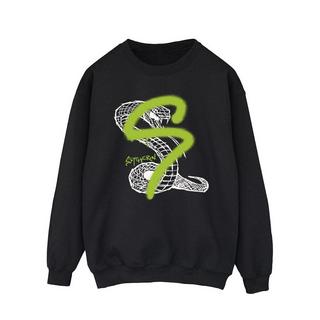 Harry Potter Slytherin Sweatshirt  