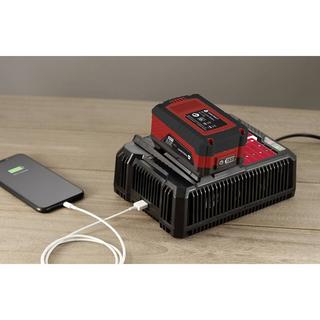 TOOLCRAFT  Chargeur 20 V 8.0 A 