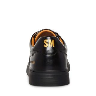 STEVE MADDEN  Sneakers Starskie 