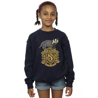 Harry Potter  Hufflepuff Sweatshirt 