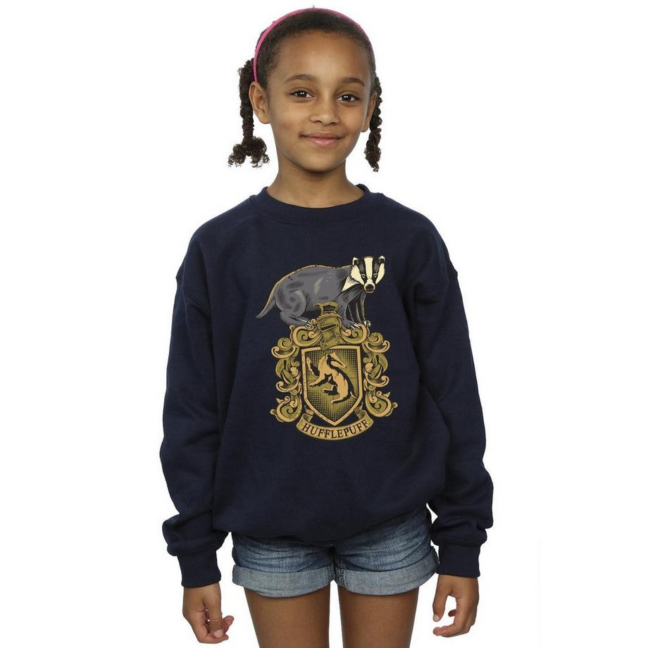 Harry Potter  Hufflepuff Sweatshirt 