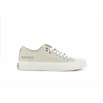 Sneakers   Ace Canvas