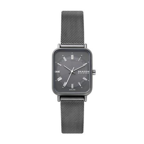SKAGEN  SKW3000 