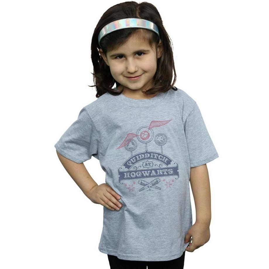 Harry Potter  Quidditch At Hogwarts TShirt 