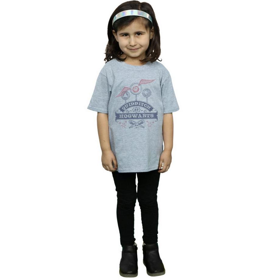 Harry Potter  Quidditch At Hogwarts TShirt 