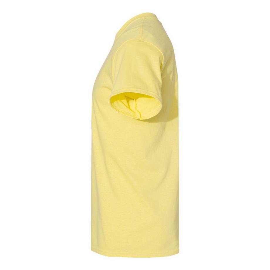 Gildan Heavy T-Shirt  