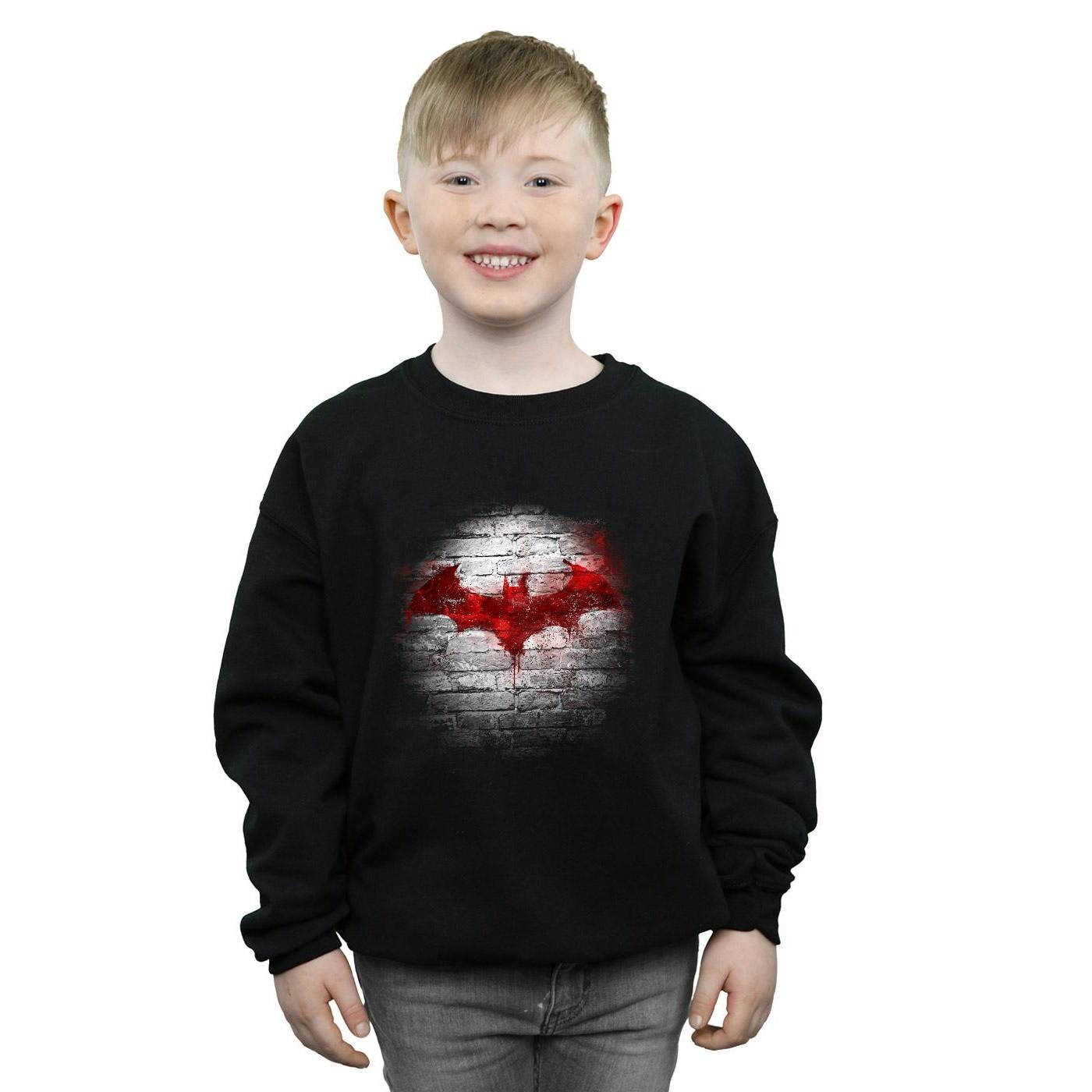 DC COMICS  Sweatshirt 