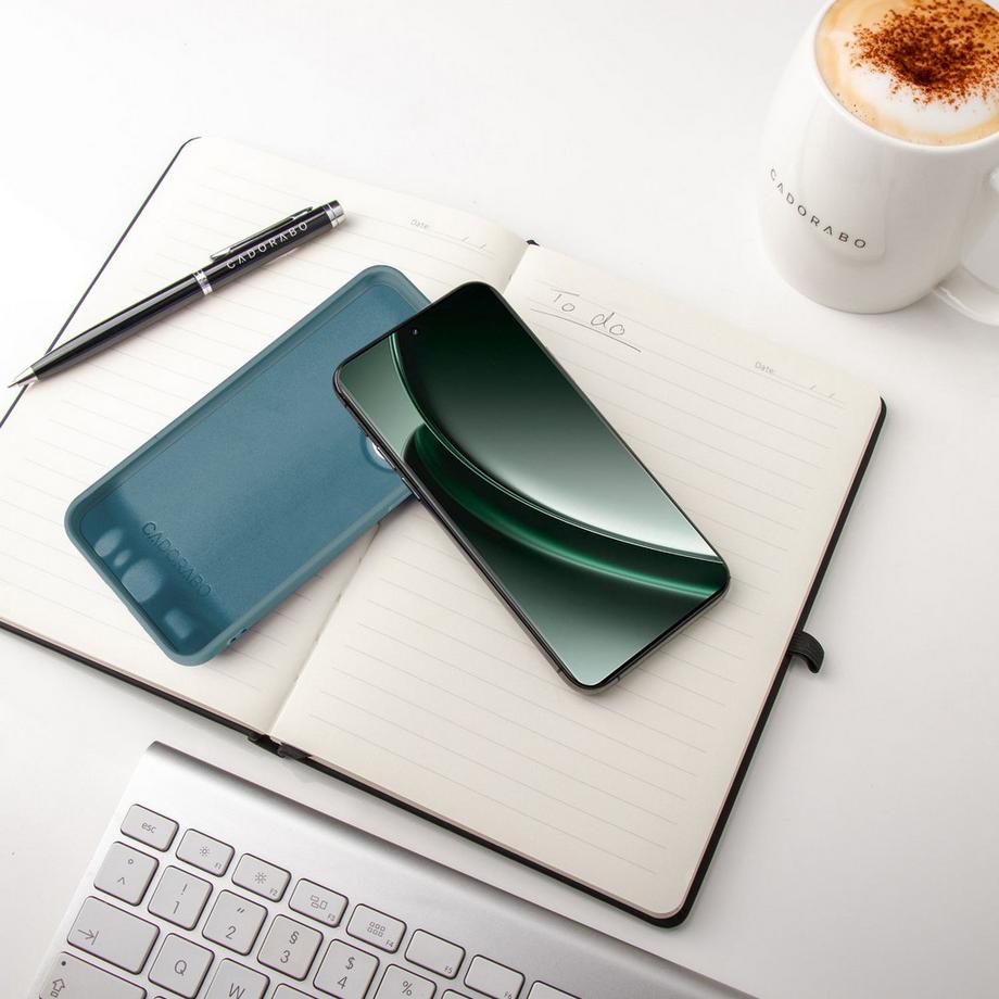 Cadorabo  Realme GT6 cover custodia 