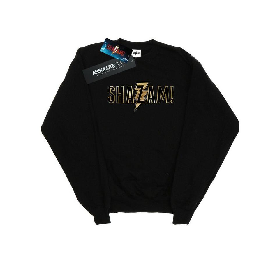 DC COMICS Shazam Logo Sweatshirt  