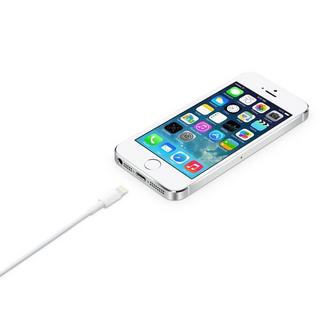 Apple 0.5 m Cavo da Lightning a USB (2 m) 