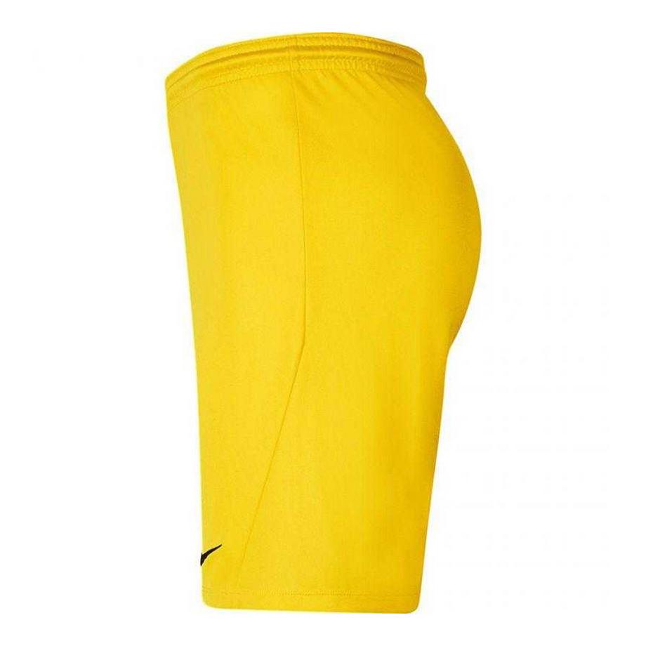 NIKE  Short Dry Park 