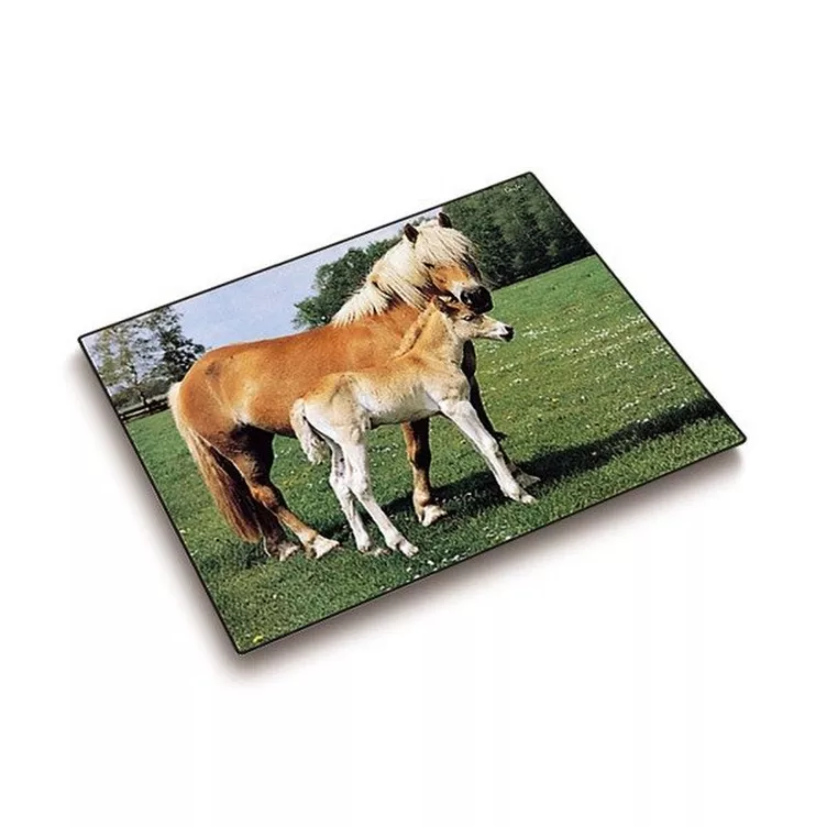 Läufer LÄUFER Schreibunterlage 46587 Pferde 53x40cm online kaufen MANOR