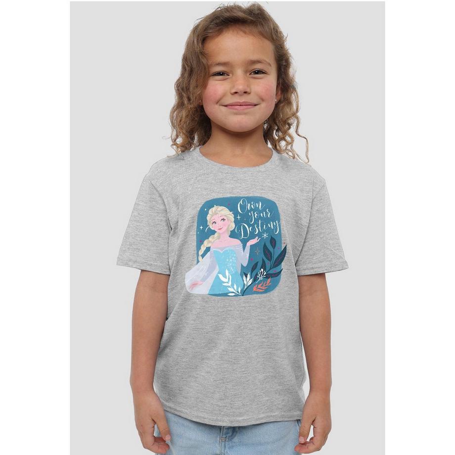 FROZEN  Own Your Destiny TShirt 