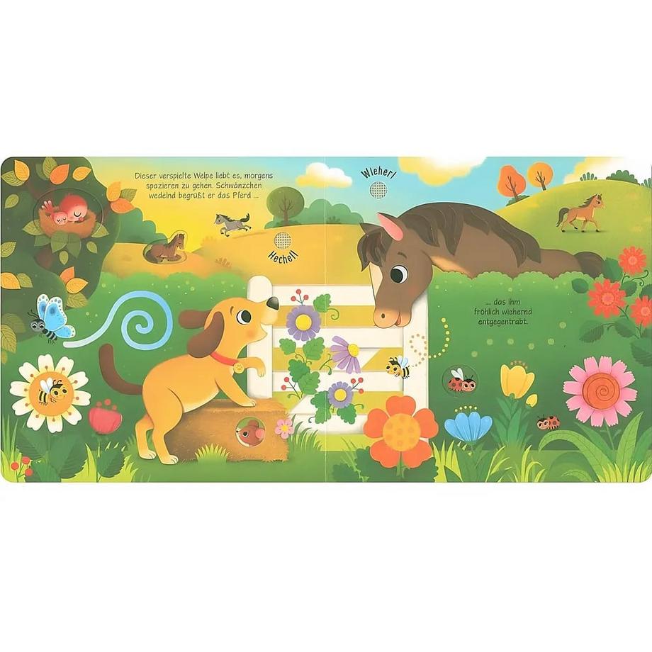 Klänge der Natur: Was hörst du bei den Haustieren? Taplin, Sam; Iossa, Federica (Illustrationen) Gebundene Ausgabe 