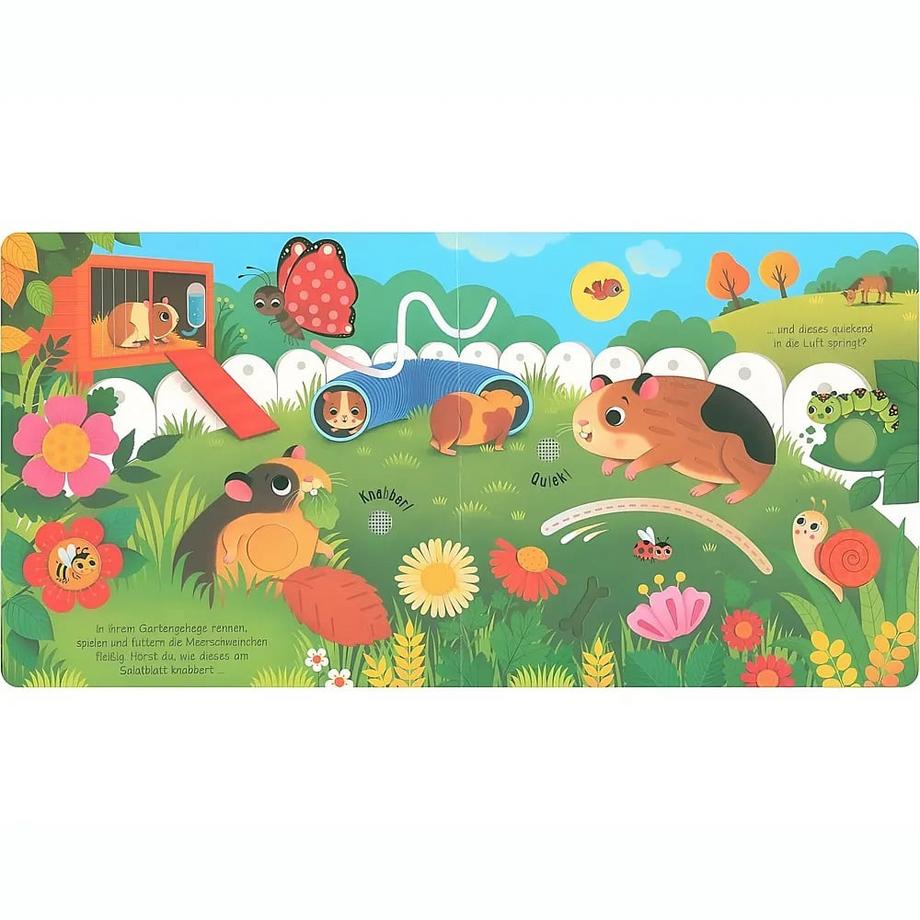 Klänge der Natur: Was hörst du bei den Haustieren? Taplin, Sam; Iossa, Federica (Illustrationen) Gebundene Ausgabe 