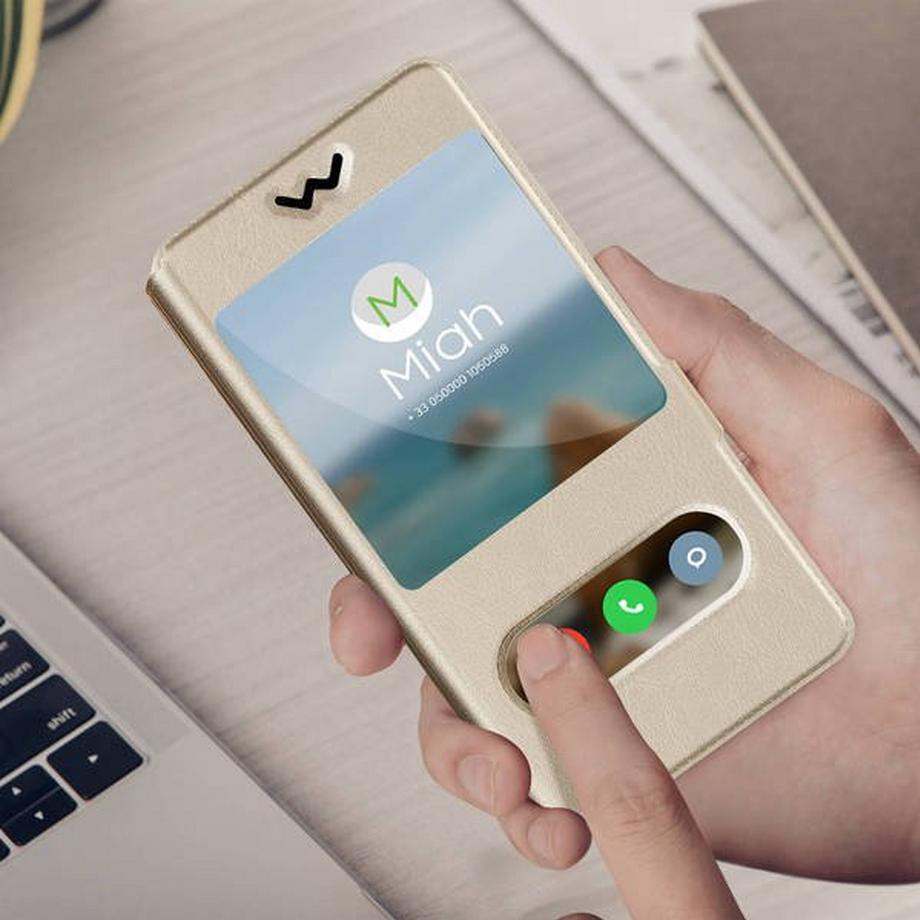 Avizar  Universelle Hülle Größe XL Gold 