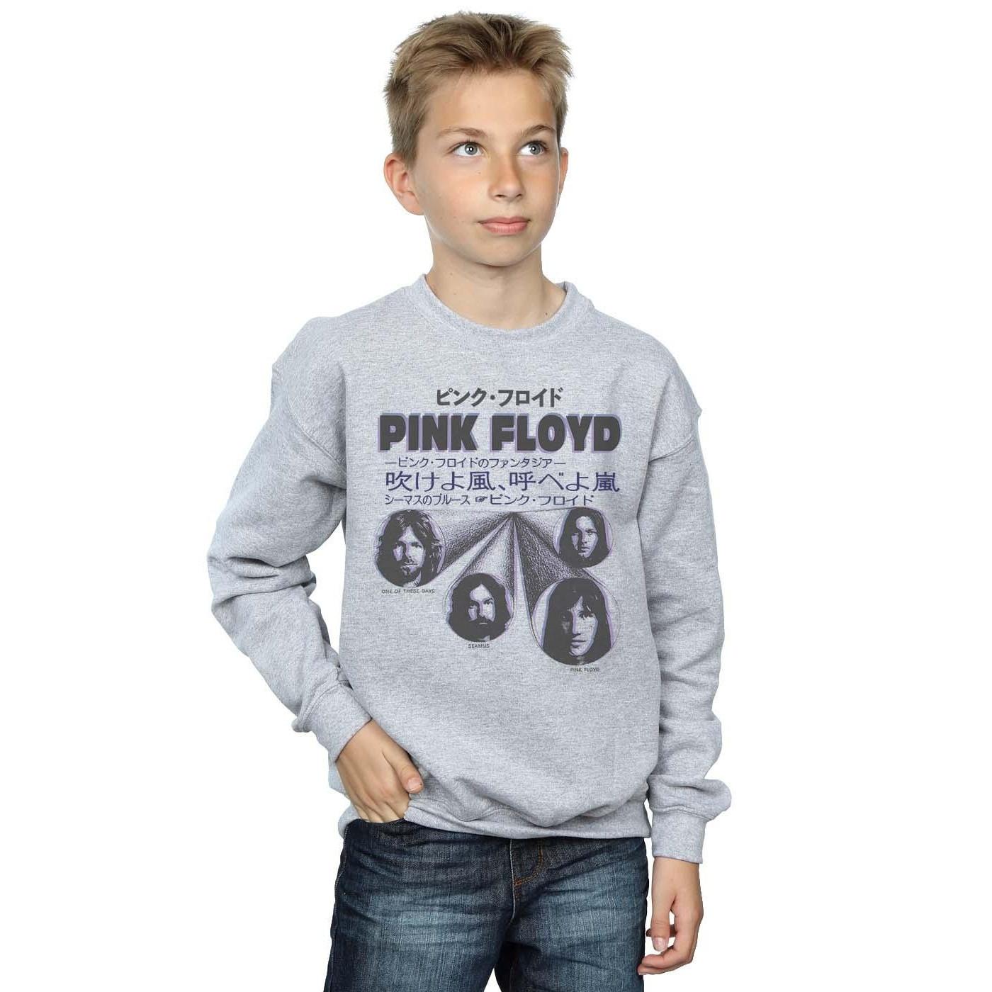 Pink Floyd  Sweatshirt 