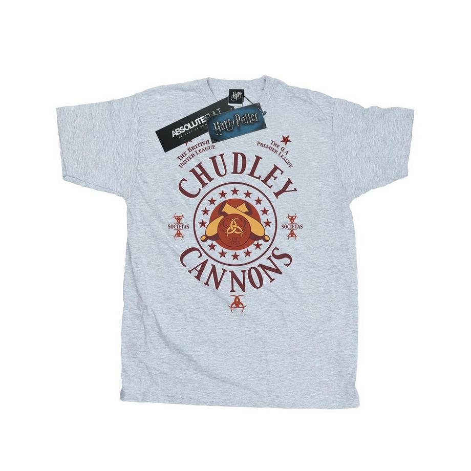 Harry Potter T-shirt Chudley Cannons  