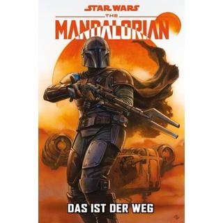 Star Wars Comics: The Mandalorian Rodney Barnes,Georges Jeanty,Karl Story Livre cartonné 