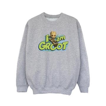 Sweat GUARDIANS OF THE GALAXY AM GROOT