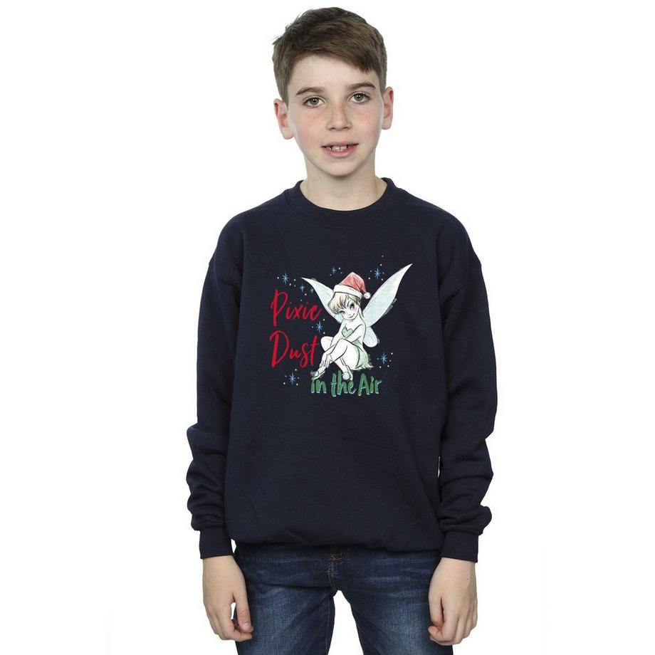 Disney  Pixie Dust Sweatshirt 