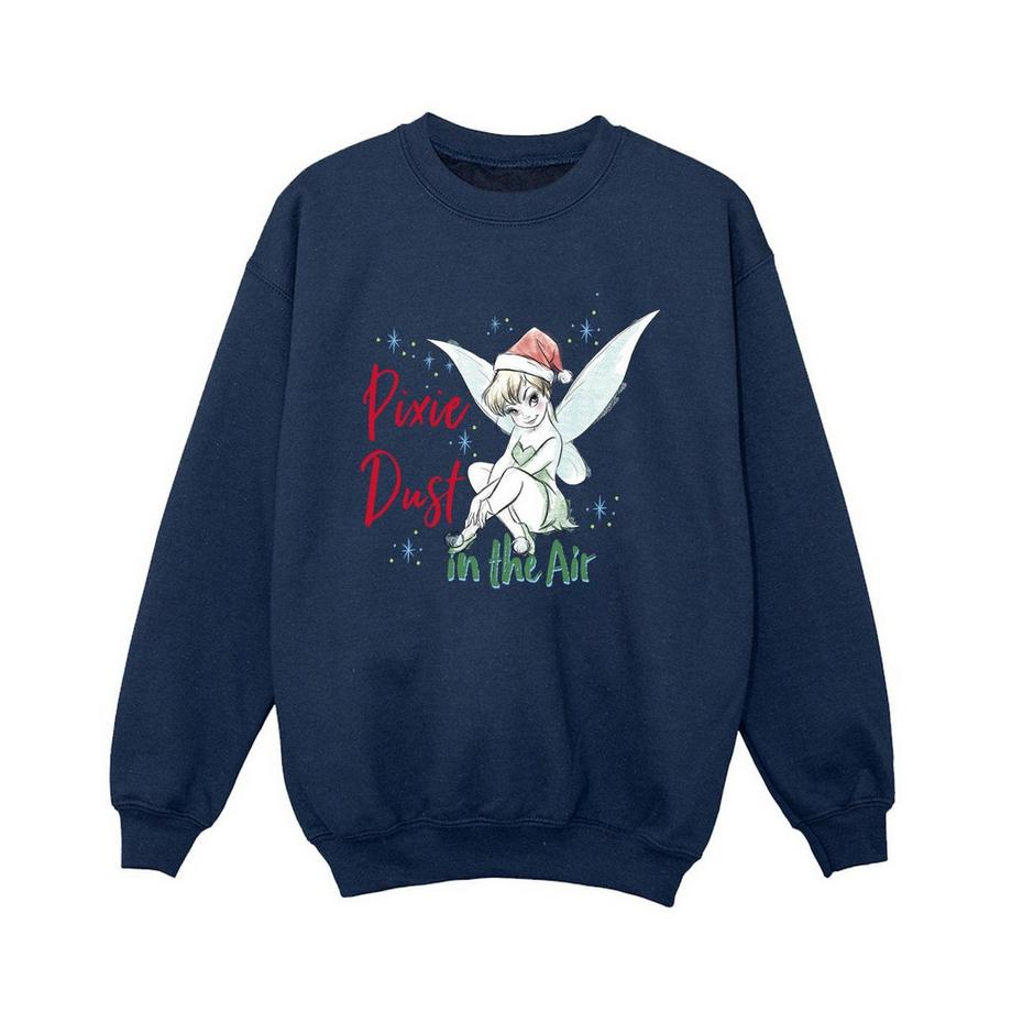 Pixie Dust Sweatshirt