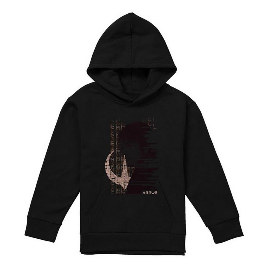Sweat À Capuche Redacted