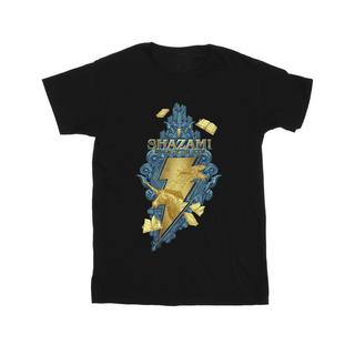 DC COMICS  Tshirt FURY OF THE GODS 