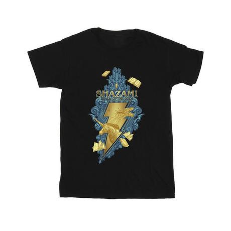 DC COMICS  Tshirt FURY OF THE GODS 