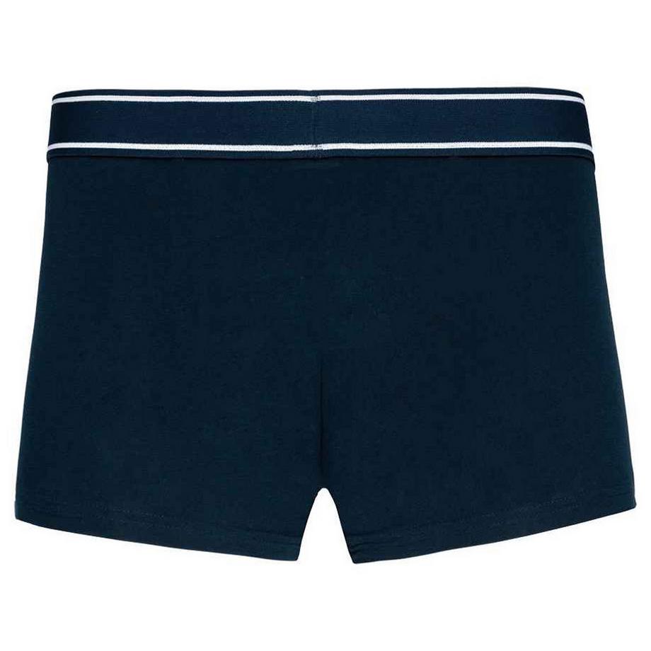 Kariban  Boxer 