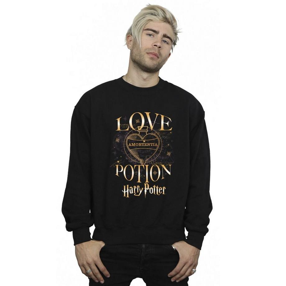 Harry Potter Love Potion Sweatshirt  
