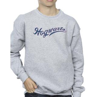 Harry Potter  Hogwarts Sweatshirt 