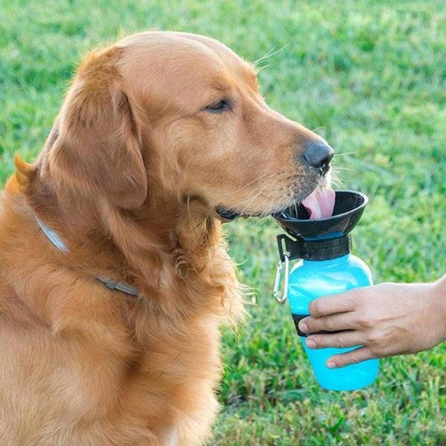 InnovaGoods  Bottiglia d'acqua per cani 