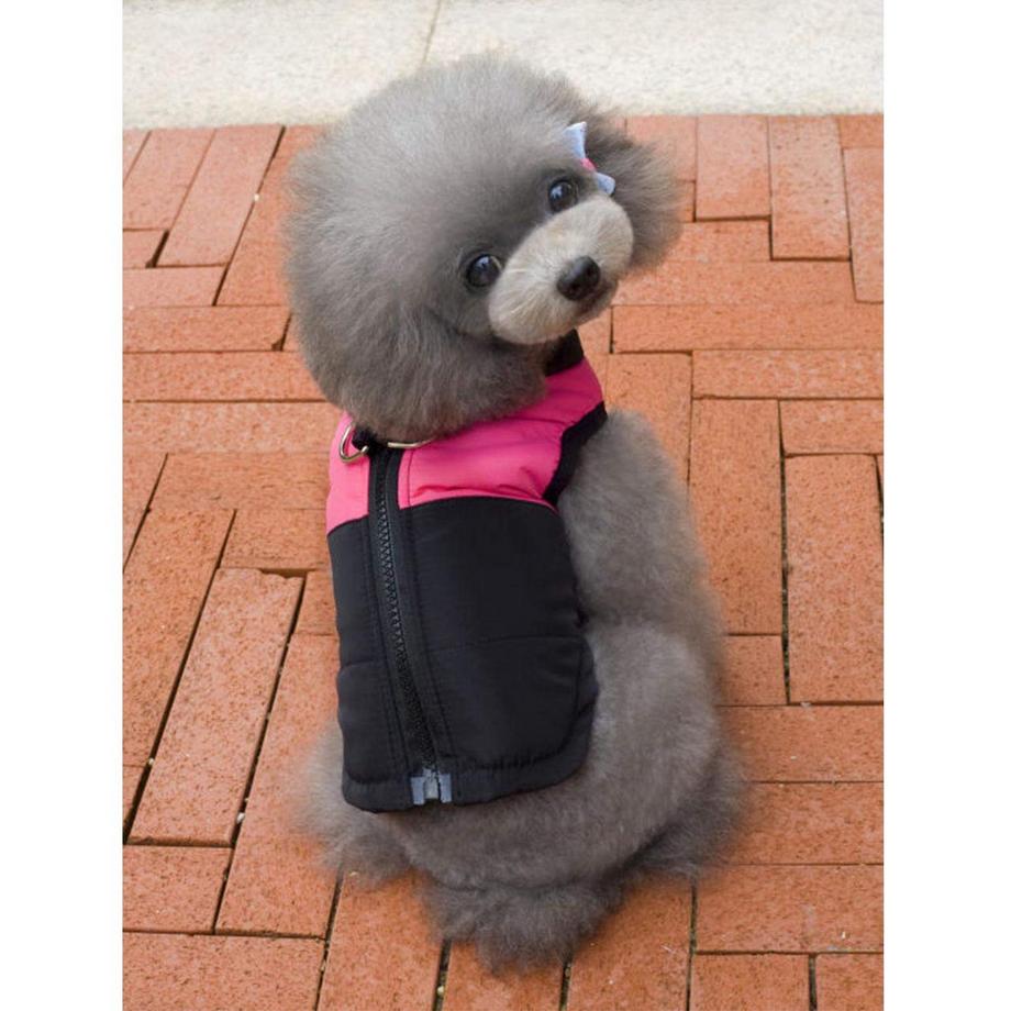 Alopini  Vêtements d'hiver Chauds pour Chiens de Compagnie Petits Imperméables 
