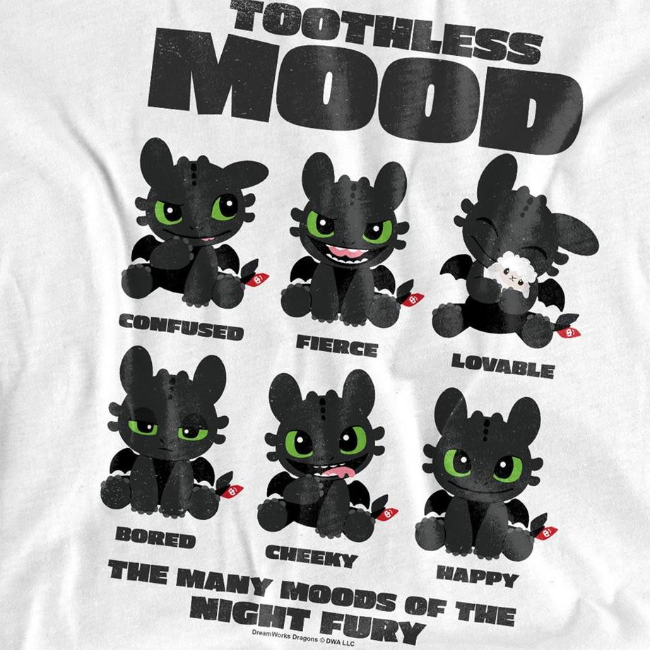 DRAGONS  Moods Of Toothless T-Shirt 
