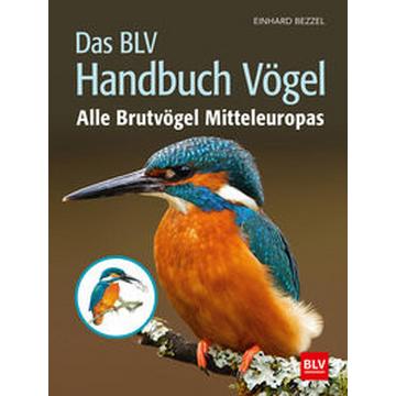 Das BLV Handbuch Vögel