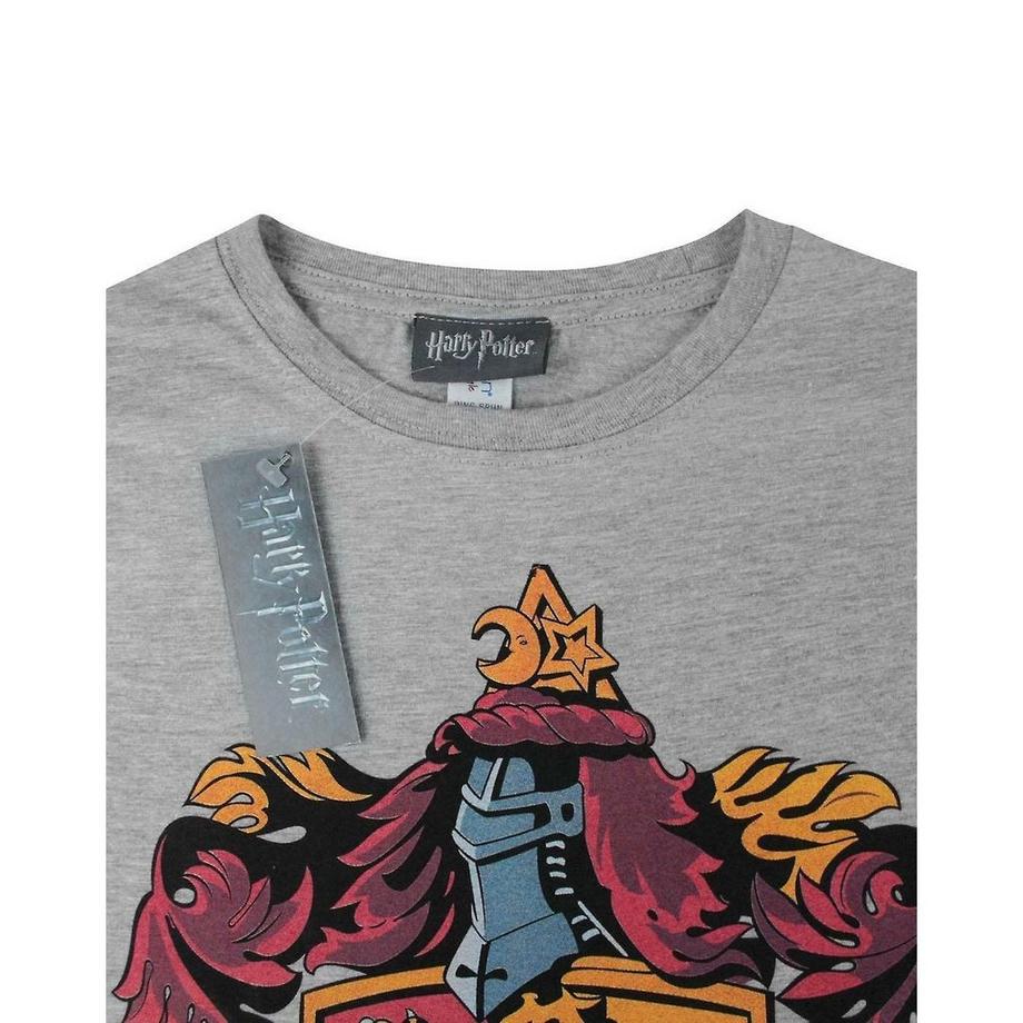 HARRY-POTTER T-shirt Gryffondor  