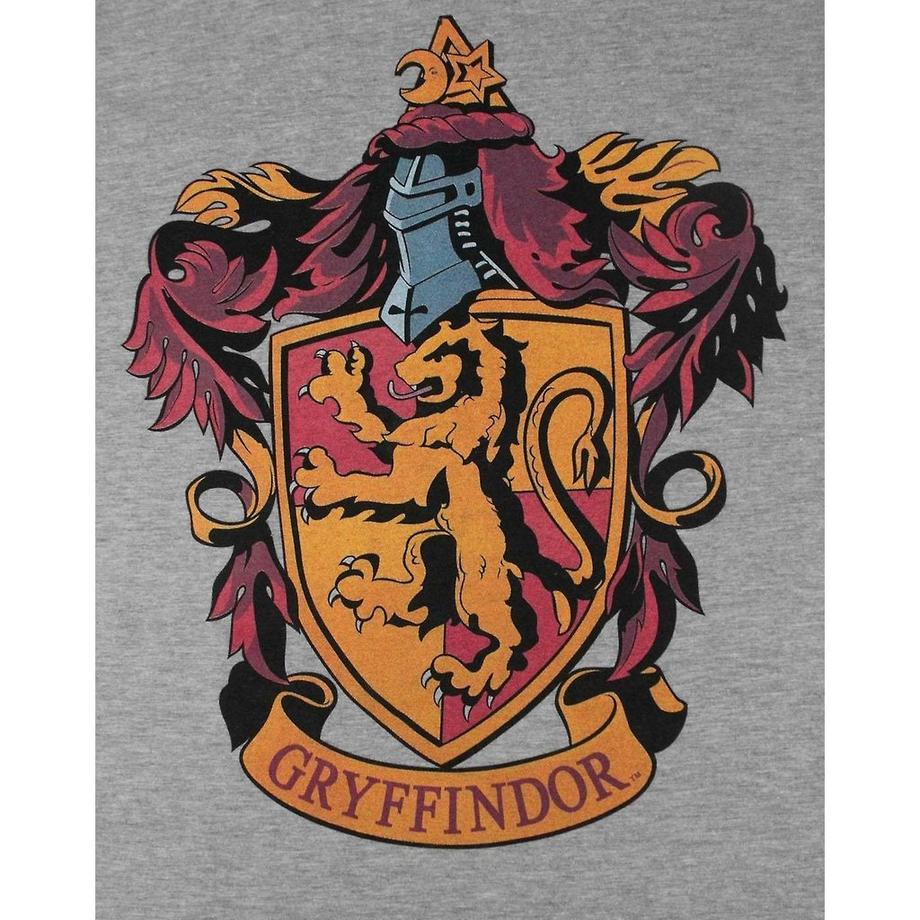 HARRY-POTTER T-shirt Gryffondor  